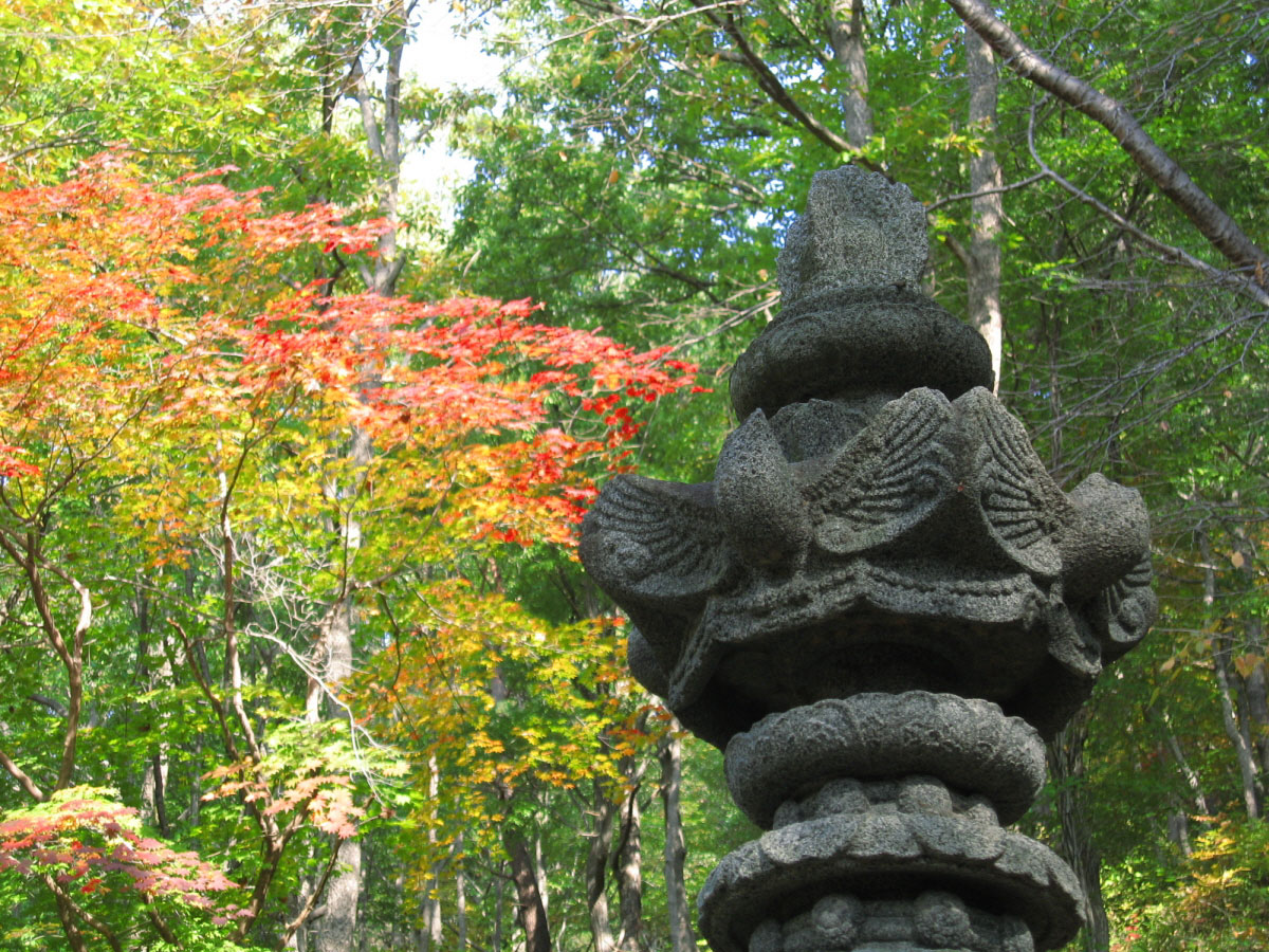 2009102704.jpg