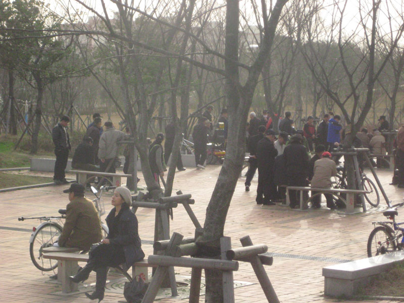 20100313.JPG